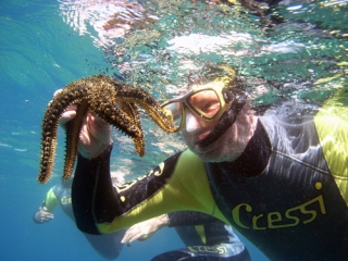  A la découverte de la faune 